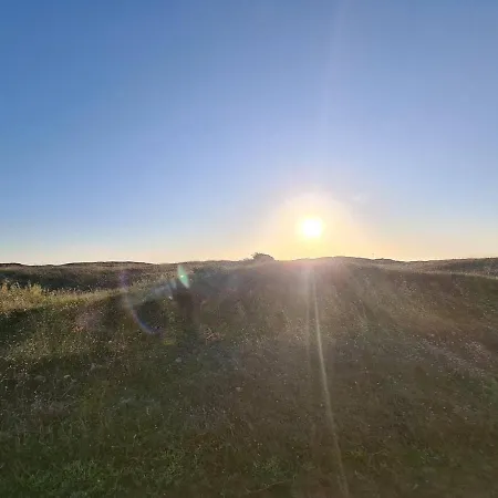 4 Pers En Bord De Plage, Veranda, Terrasse Ensoleillee - - Fr-1-224c-189