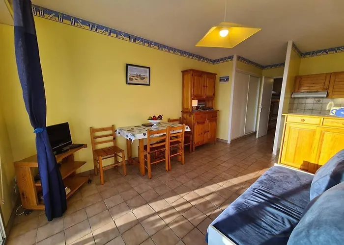 4 Pers En Bord De Plage, Veranda, Terrasse Ensoleillee - - Fr-1-224c-189